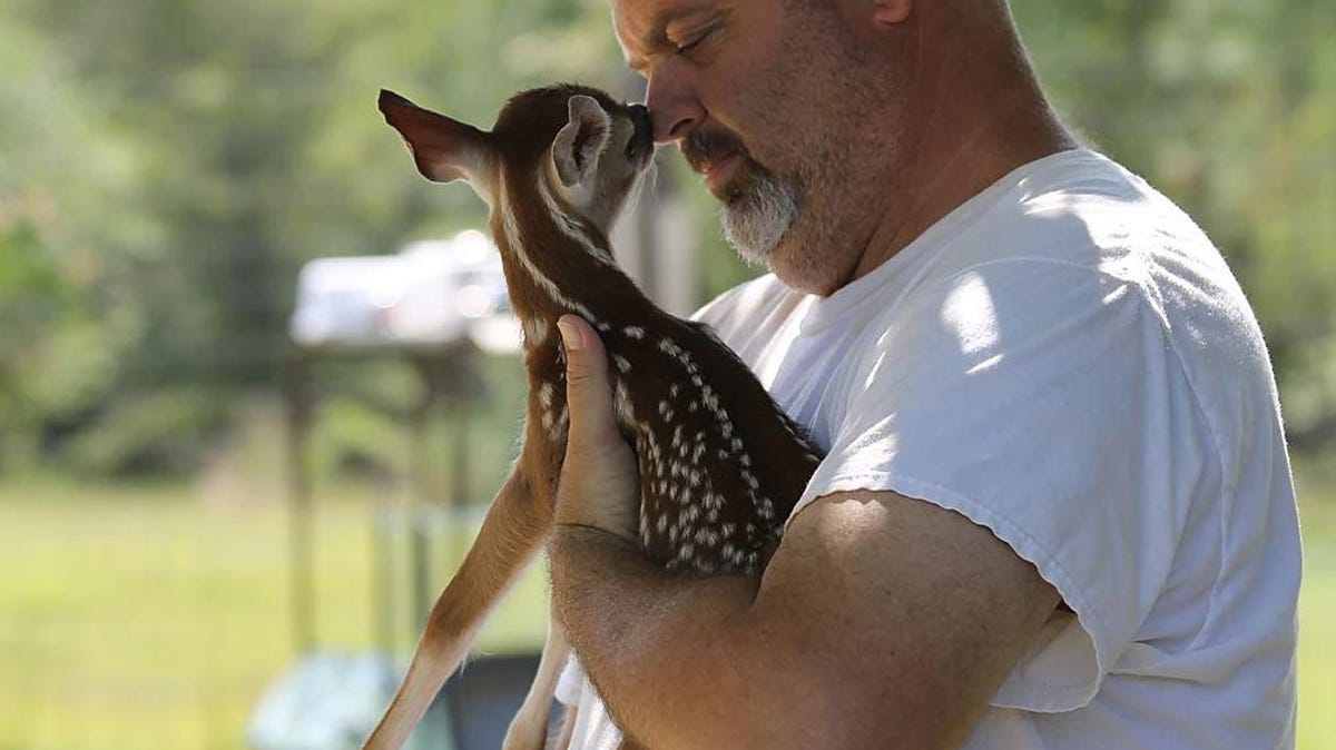 Jacksonville Area Wildlife Rescues Are On The Rise Hilliard S The Ark Sees Record Growth