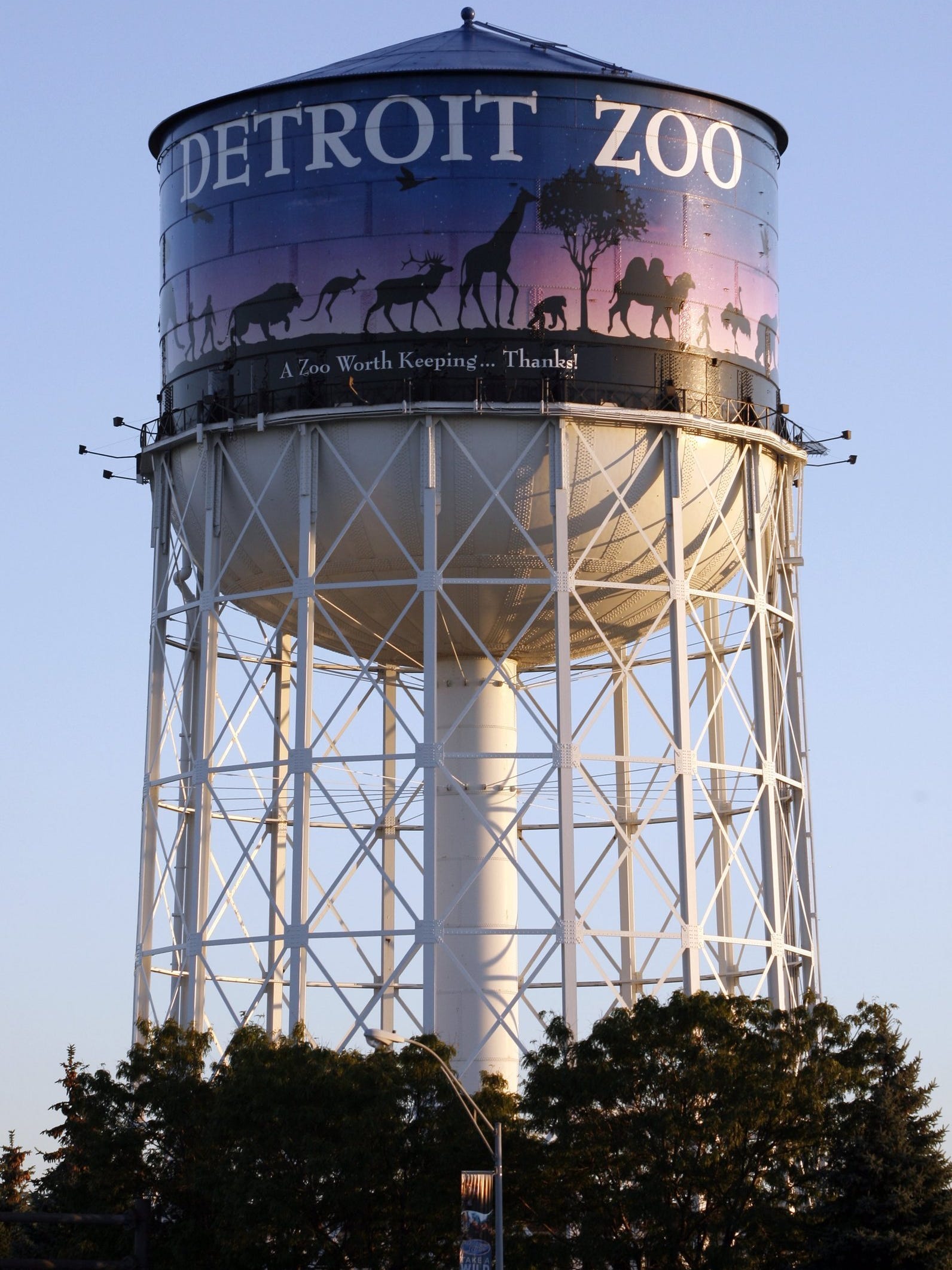 Detroit Zoo Hosts Exhibit About Explorer Ernest Shackleton