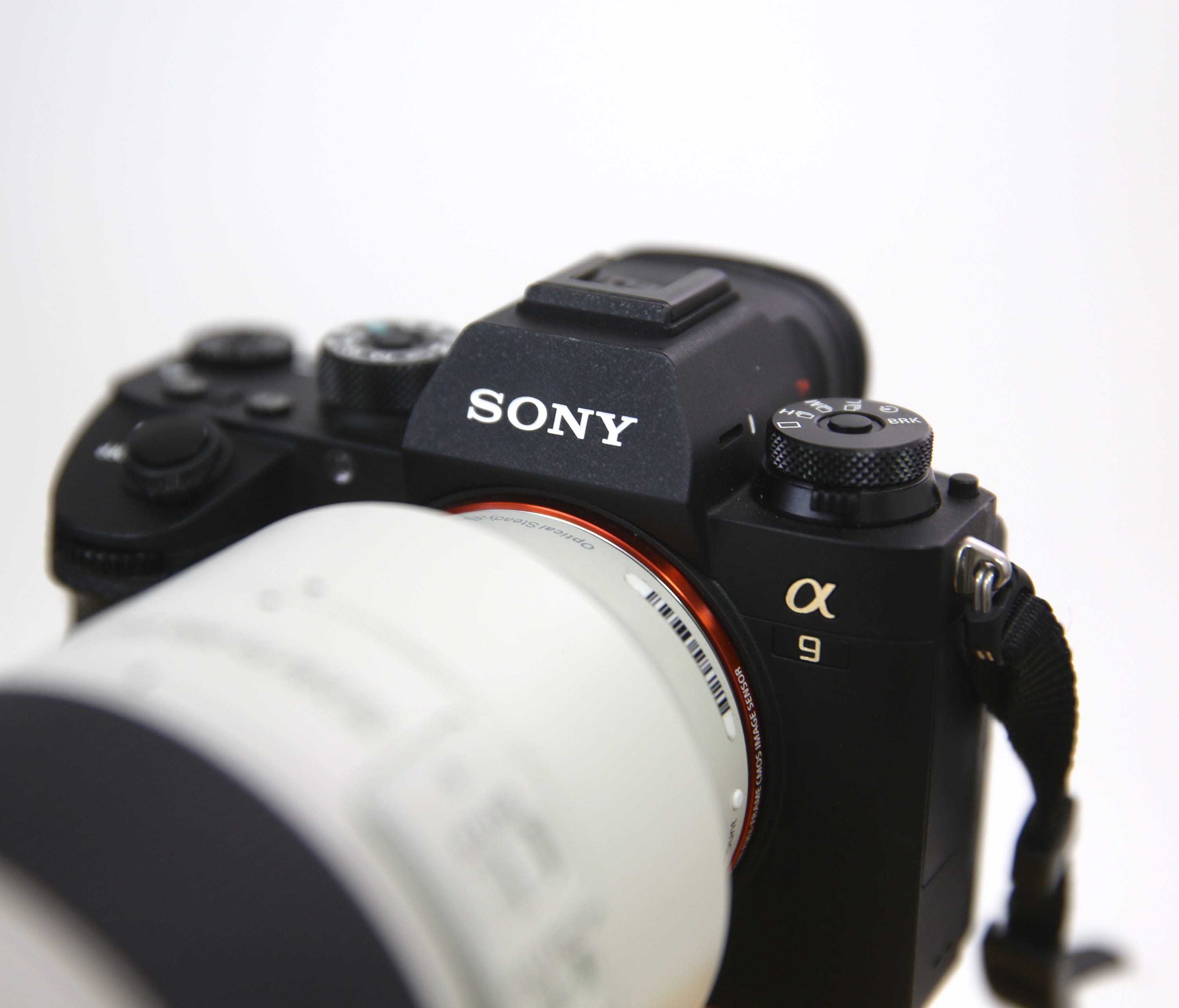 The Sony A9 camera shoots 20 frames a second. Seen here with 70-200mm lens.