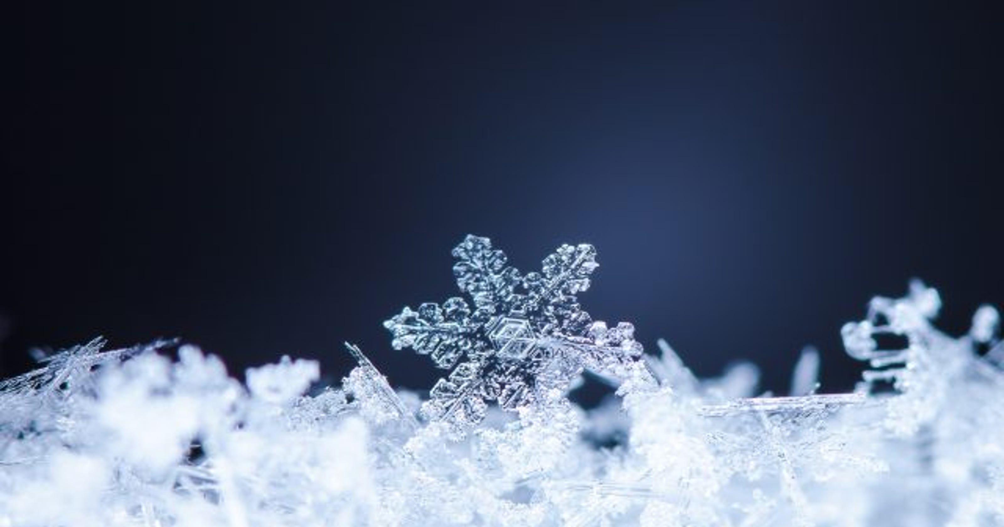 Been called a 'snowflake'? The 'it' new insult