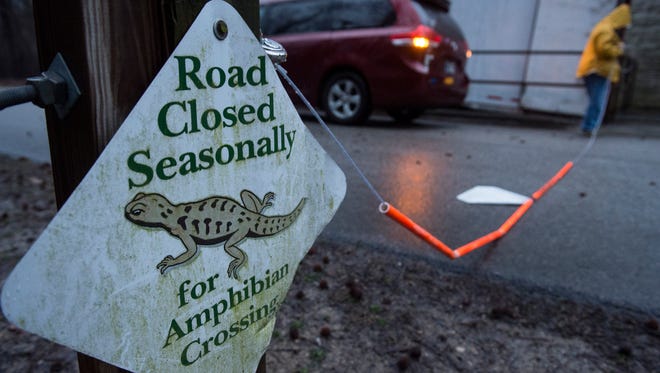 A Wesselman Nature Center employee in Evansville, Ind., closes a park road in February. The road is closed every spring to allow salamanders to cross the road to breed in seasonal pools created by spring rains. Changing climate patterns could affect the timing of such biological events as warmer temperatures cause some species to emerge before these shallow ponds are filled, according to a Purdue Climate Change Research Center report.