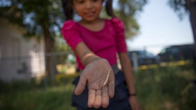 Yanaba Miller shows off a mantis she found while waiting for lunch Thursday during a youth conference hosted by the Diné Relief Initiative at the Healing Circle Drop-In Center in Shiprock.