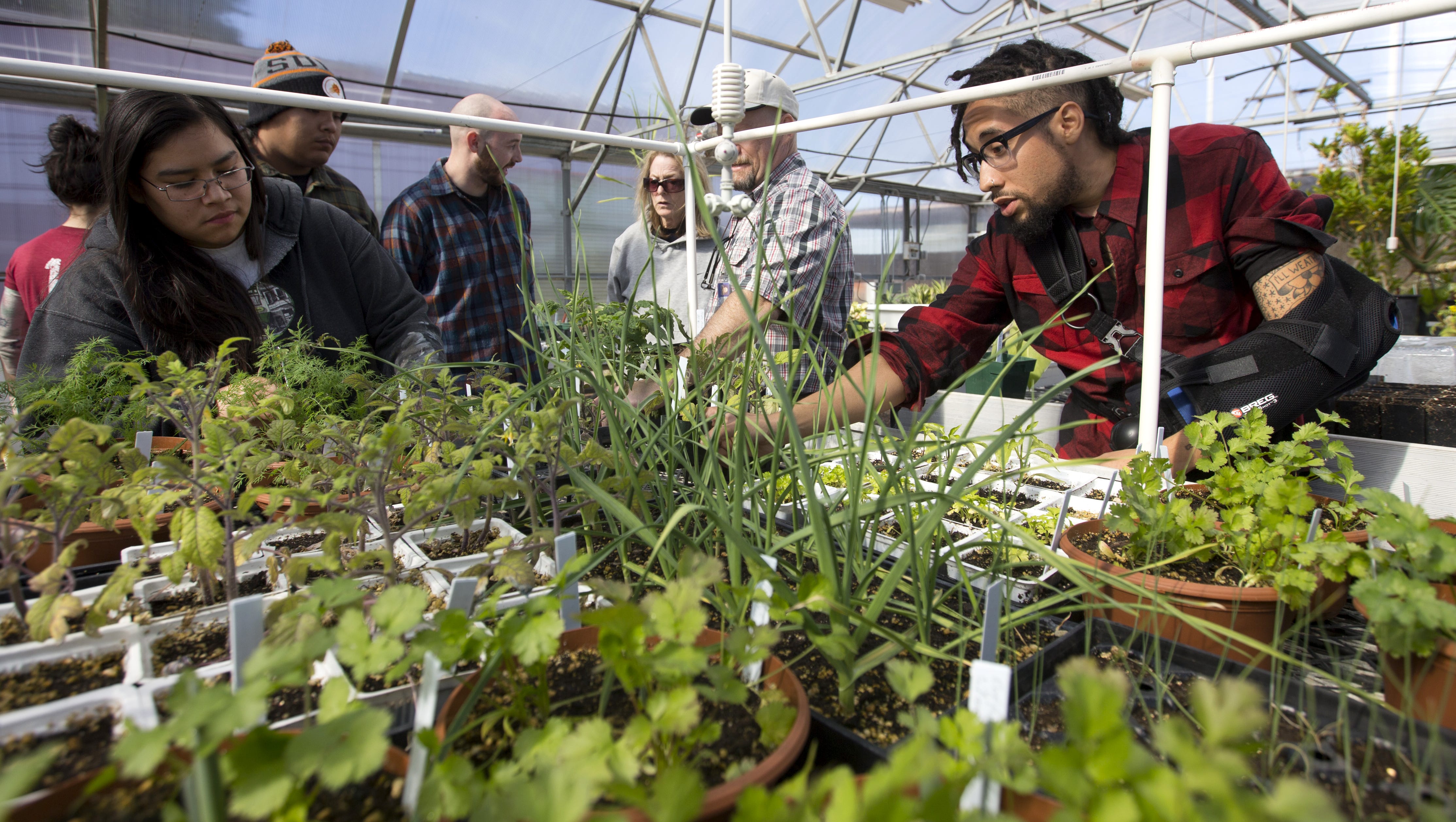Students Learn Urban Farming With New Mesa Community College Degree