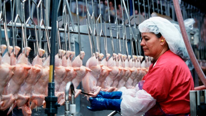 An employee of Tyson Foods processes chicken at a plant in Springdale, Ark., in this 2002 file photo. The poultry processing industry has a higher injury and illness rate on average than manufacturing overall, but safety has improved in recent years.