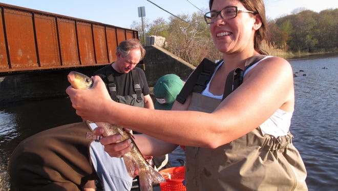 Jenna Krug, a restoration coordinator with the American Littoral Society environmental group, holds a white sucker that her group caught in a net at Wreck Pond in Spring Lake in 2015.
