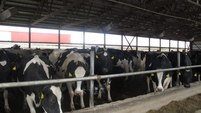 Analyst says many of the factors which affect a dairy farmer's bottom line are not considered in the Margin Protection Program (MPP) in current federal dairy policy.