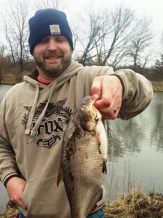 Record breaking gizzard shad caught by fisherman