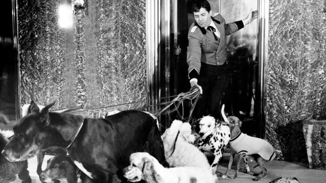 Jerry Lewis goes to the dogs in "The Bellboy."