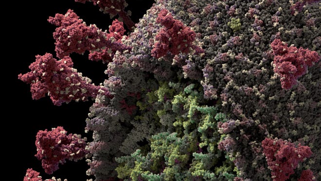 This 3-D model of the novel coronavirus shows the spike proteins in red. A mutation that affects the spike protein has spread rapidly around the world, but its effect is not clear, scientists say.