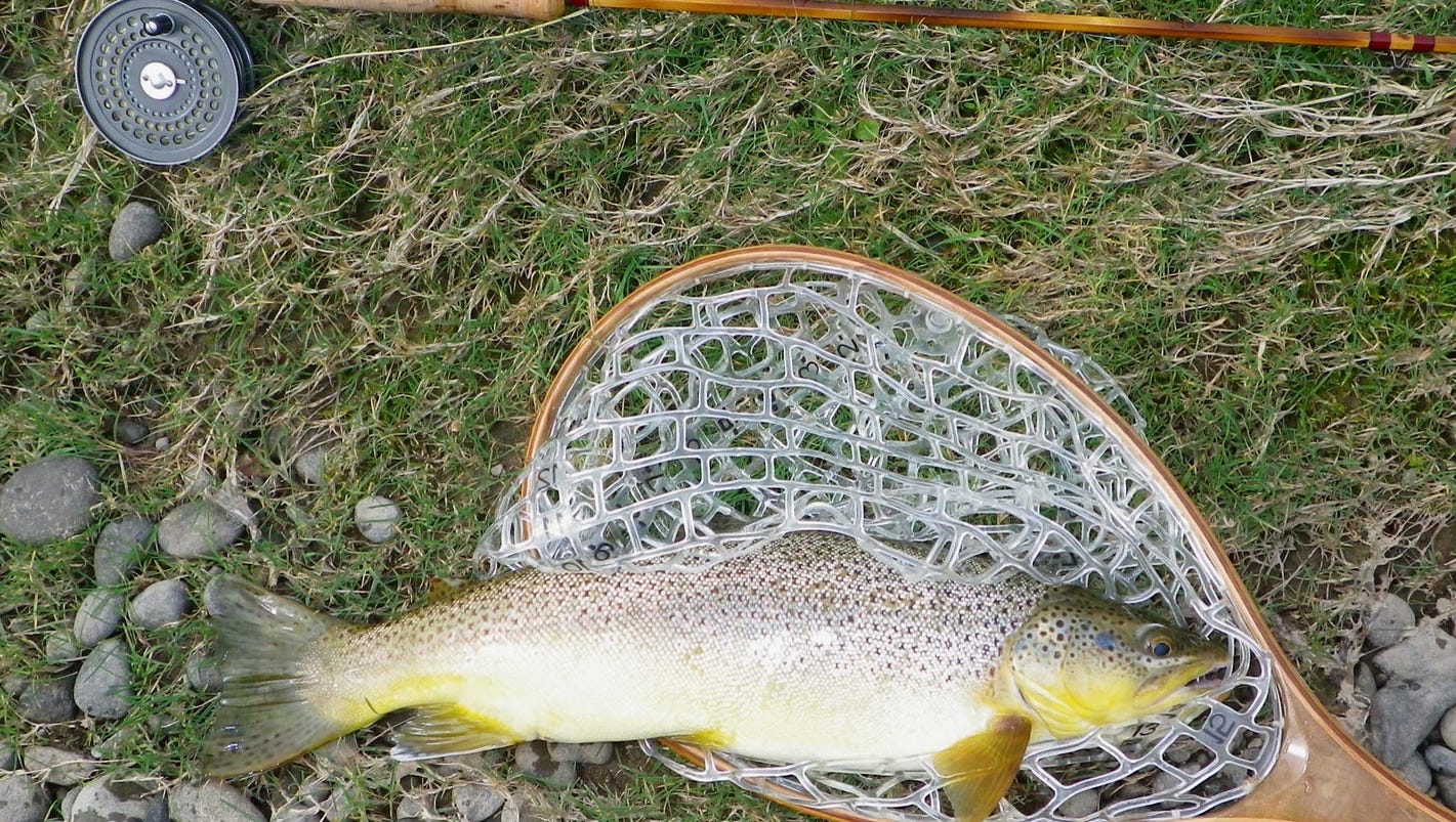 Trout stocking schedule set for York, Adams