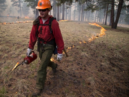A Forest Service wildland firefighter uses a drip torch