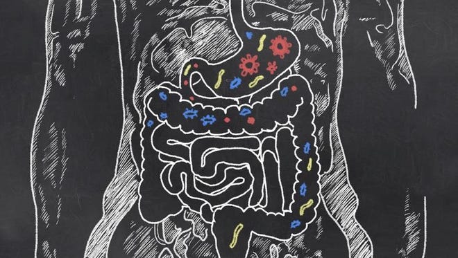 An illustration of a person's gastrointestinal tract.
