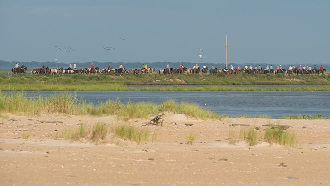 Saltwater Cowboys lead a herd of ponies from the Northern Corral to the Southern Corral at Chincoteague National Wildlife Refuge on Monday, July 24, 2017. 