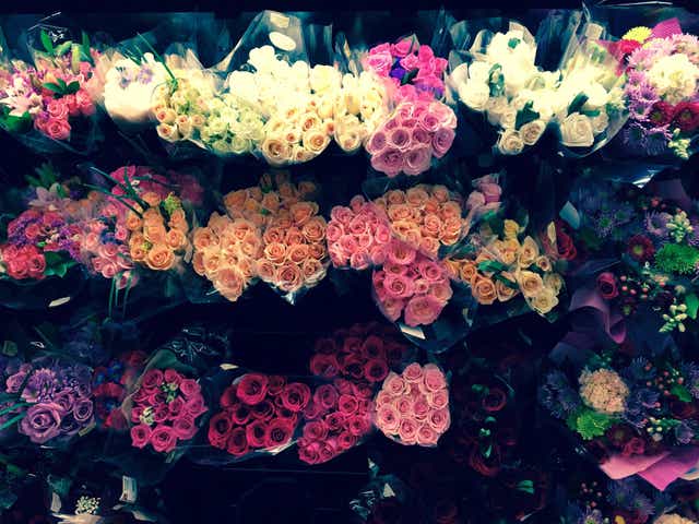 Need Roses Ms Cheap Knows The Best Deals In Town