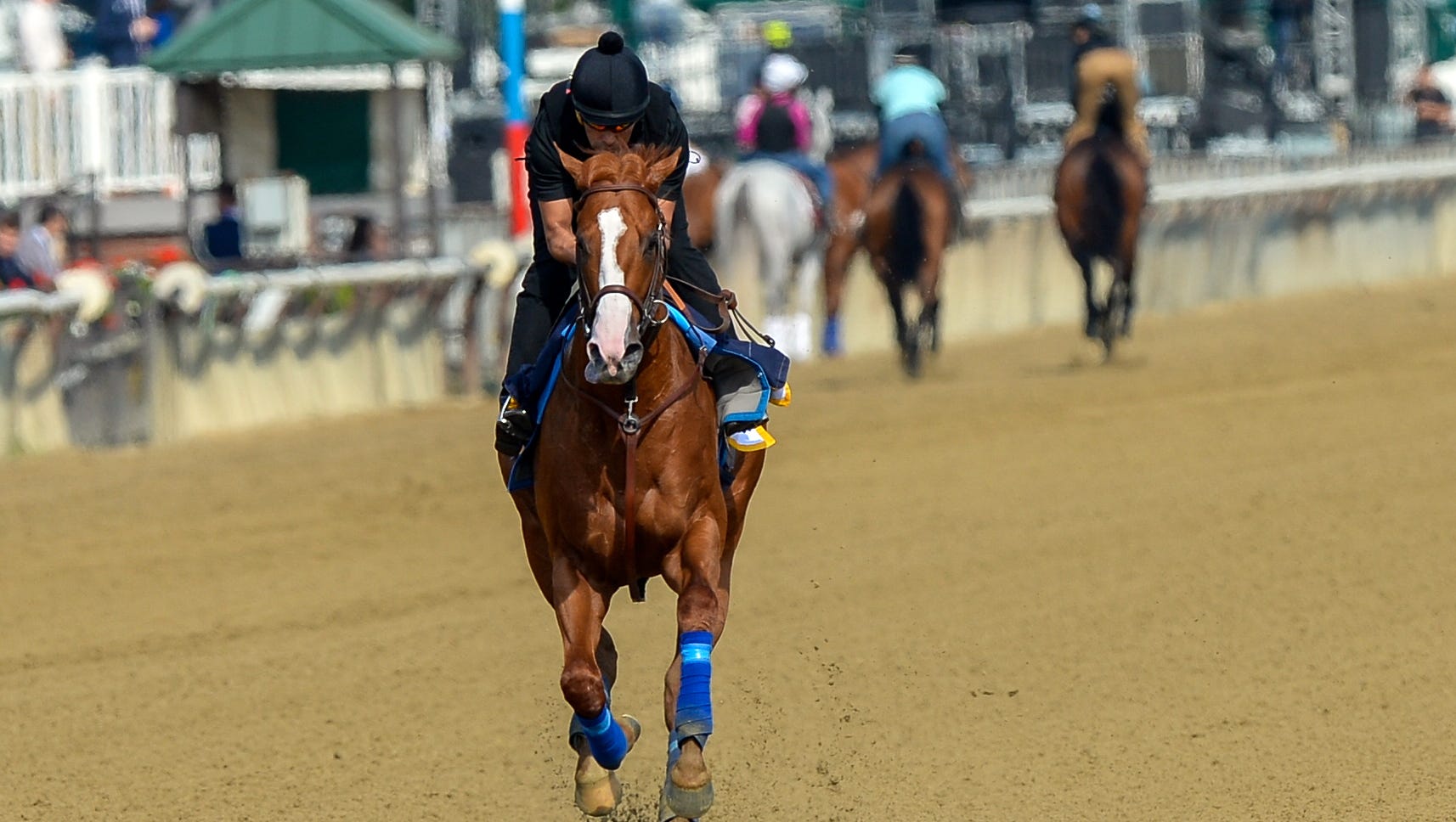 Belmont Stakes How to watch, odds, post time, lineup and more