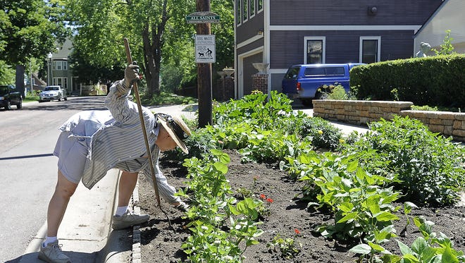 Phyllis Schrag works in her garden on the boulevard along 19th Street and Main Avenue. The city hopes to incorporate more green space into future development as a way to handle stormwater runoff and improve water quality.