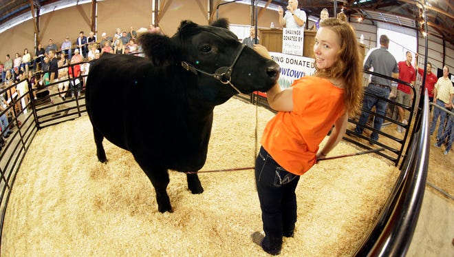 Grand Champion Market Beef is in the ring with owner Tori Kohlwey at the Sheboygan County Fair Thursday September 3, 2015 in Plymouth.