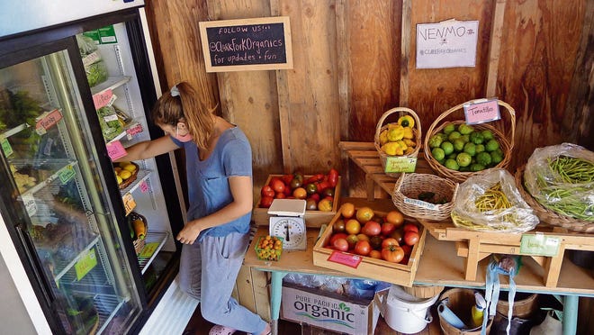 Tasha Slotinck organizes the produce cooler at Clark Fork Organics in Missoula, Montana.