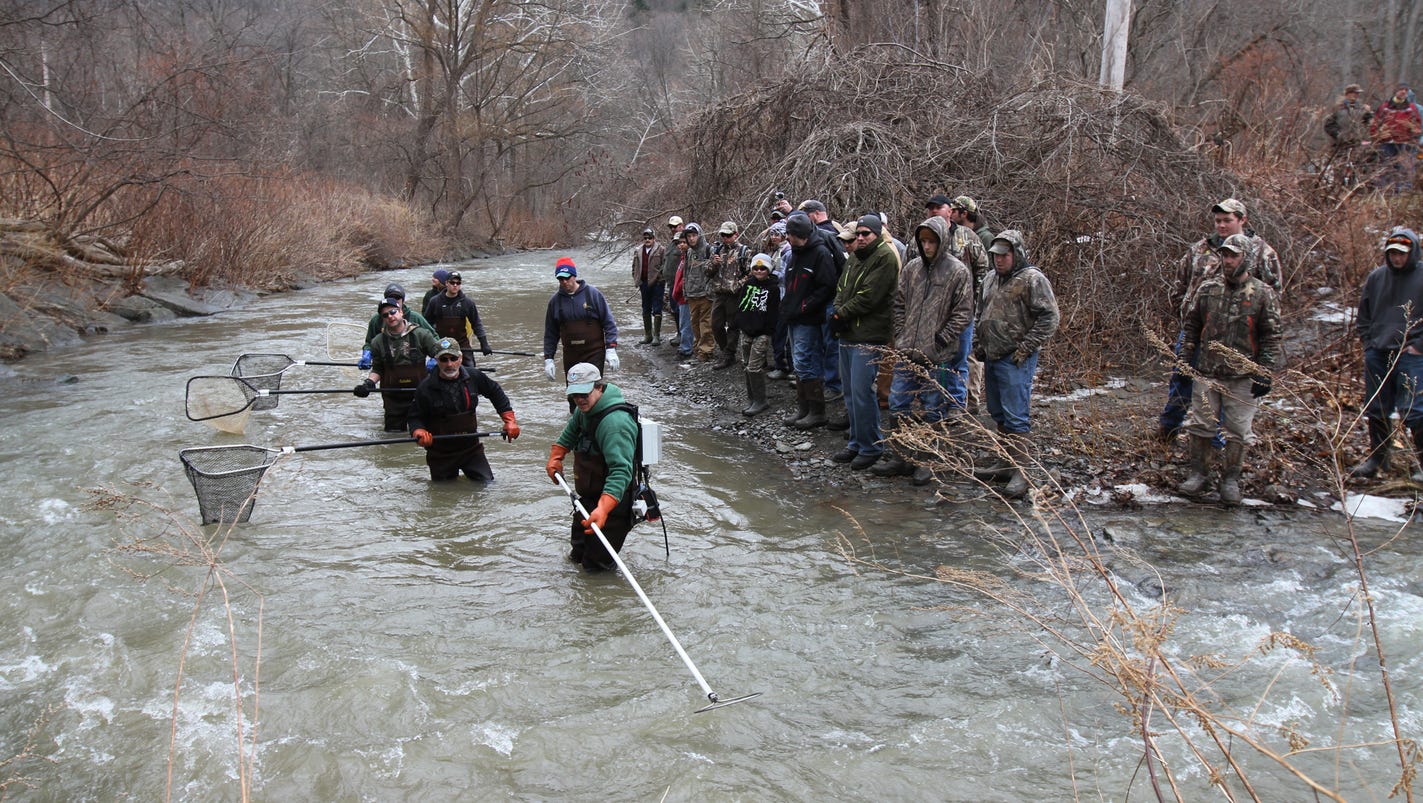 trout fishing Rochester New York trout fishing Rochester New York