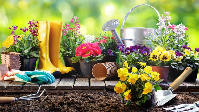 Set Of Tools For Gardener And Flowerpots In Sunny Garden