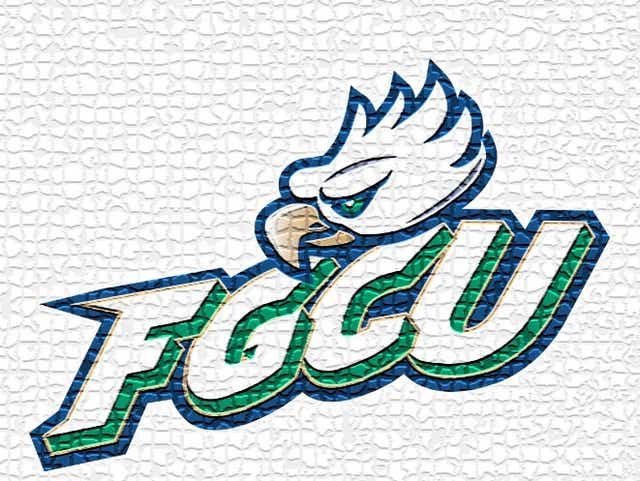 Fgcu Women S Basketball Adds Transfers From Bowling Green Juco