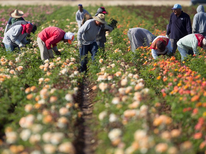 Ultimate Arizona bucket list 15 things to do in Surprise