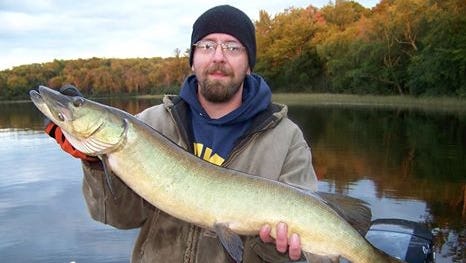 A Ross's Sport Shop client with a muskie that was boated on Sunday, Sept. 14, 2014 on a lake in the Phillips area.