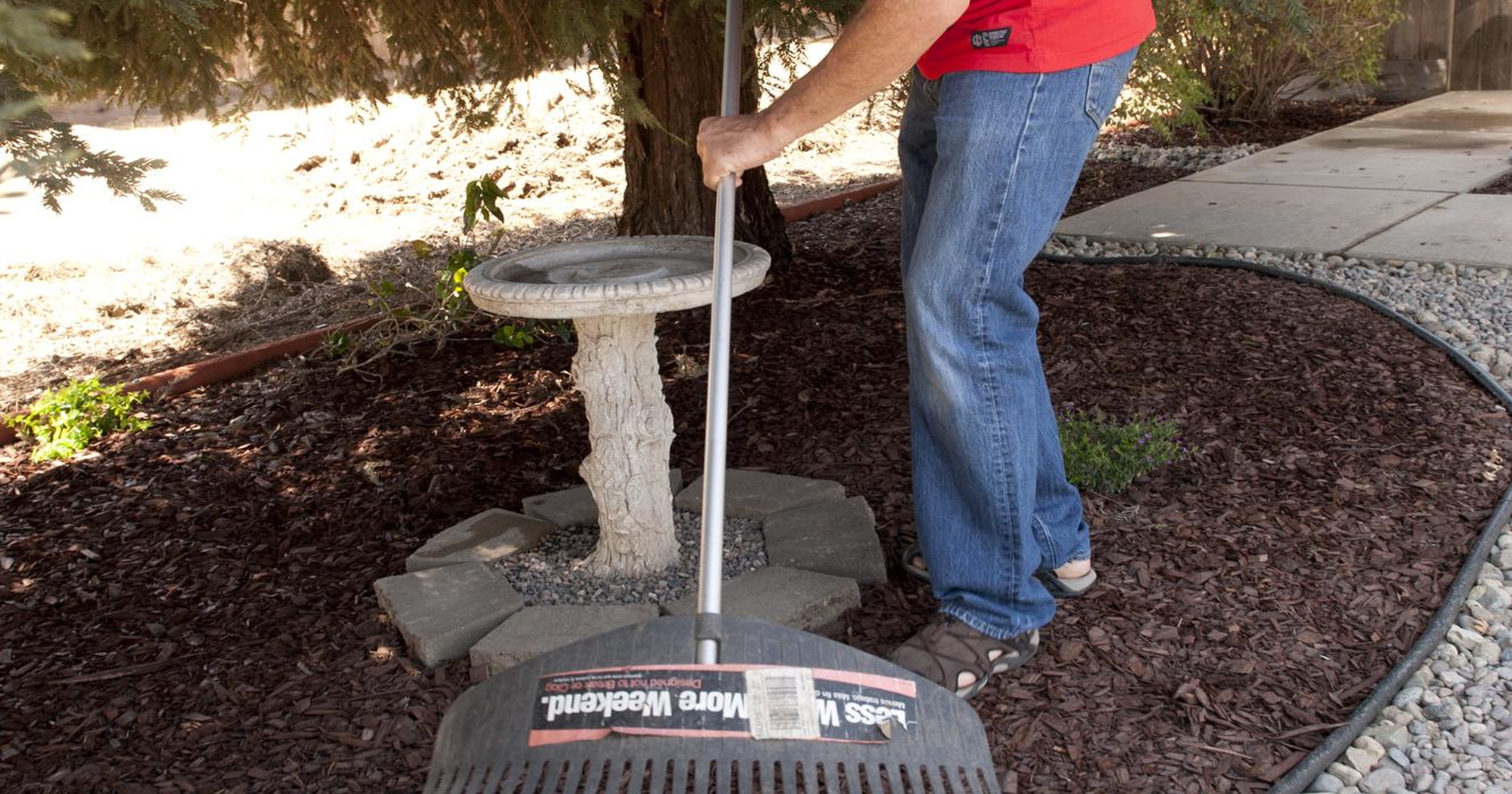 Cal Water offers live turf replacement program in Visalia