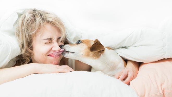 "Generally, dogs lick us to show affection, and also love the saltiness of our skin. They will also lick for comfort, in times of anxiety and fear," said Will Draper, a WebMD contributor from The Village Vets practices in Atlanta, Ga.