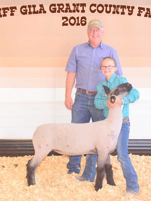 Avery Wenzel was the exhibitor of this fifth place blackface Class 5 lamb at the Gila Cliff Grant County Fair. LT Cattle Company was the buyer.