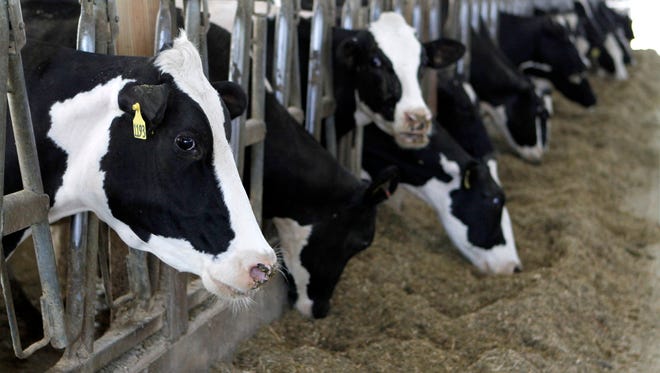The number of licensed dairy farms in Wisconsin dropped to a new, all-time low of 8,372 as of September 2018, according to the state Department of Agriculture, Trade and Consumer Protection.