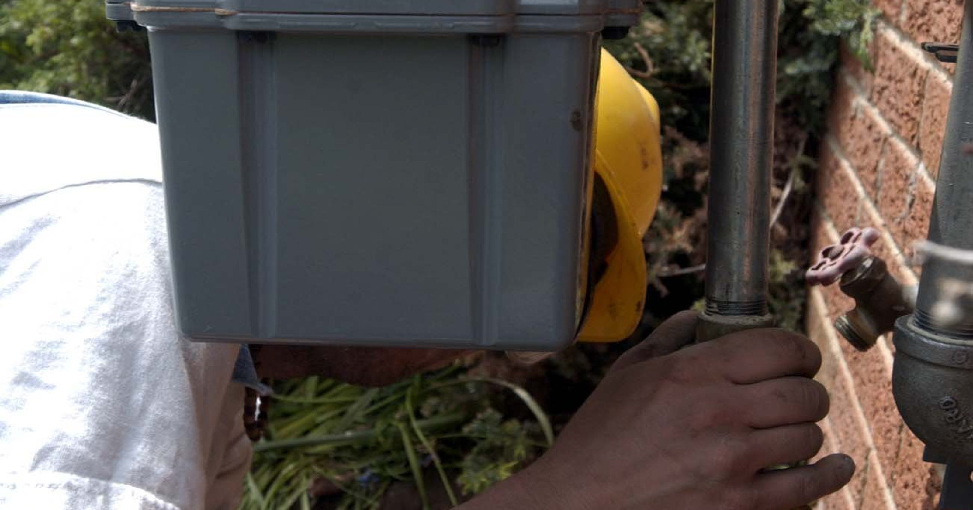 Rottenegg smell wafts across Wayne County; probably not gas leak