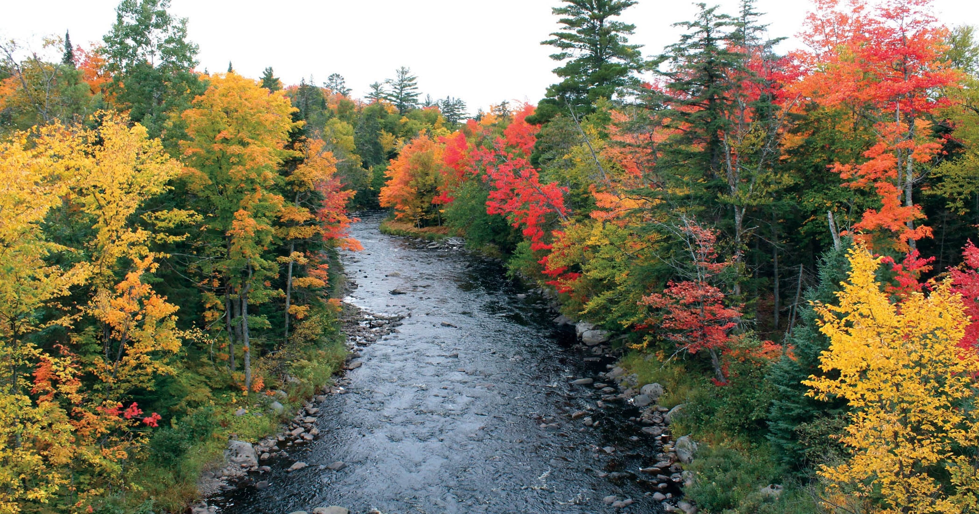 Top fallcolor drives in Michigan, and dates to go