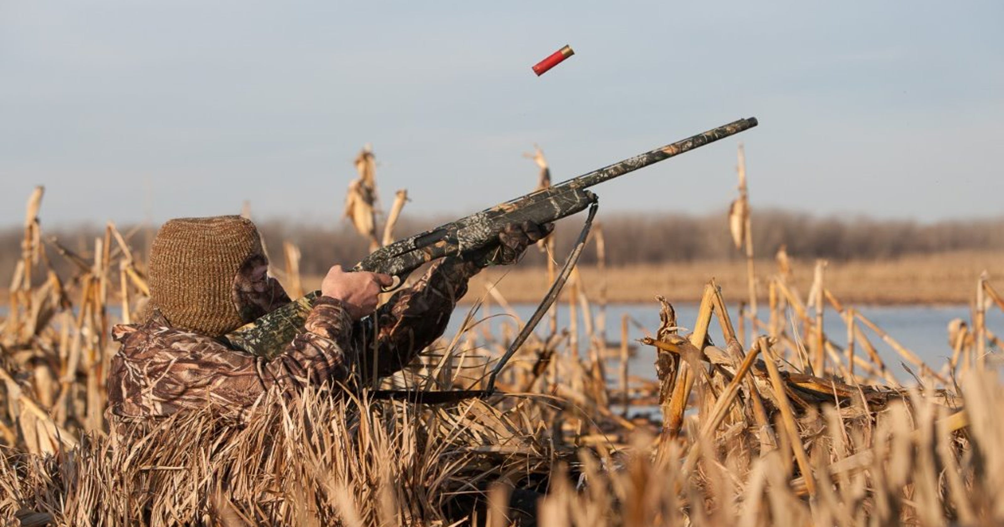 Hunters, pick your days now with Md. duck and goose seasons