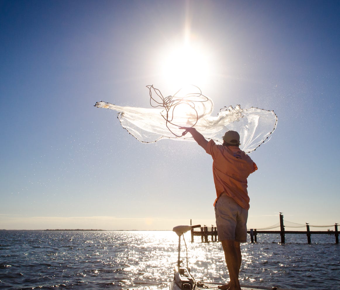 Enjoy fishing and tarpon season along the Southwest Florida coast.