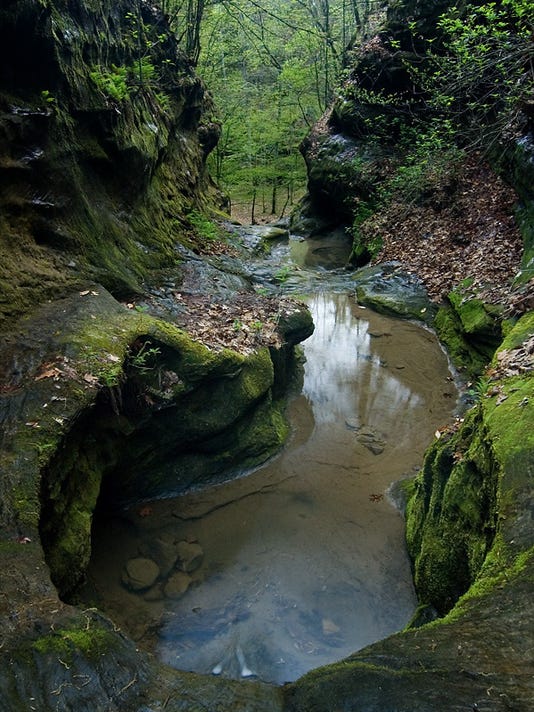 Little Grand Canyon Trail A Gem In Shawnee National Forest