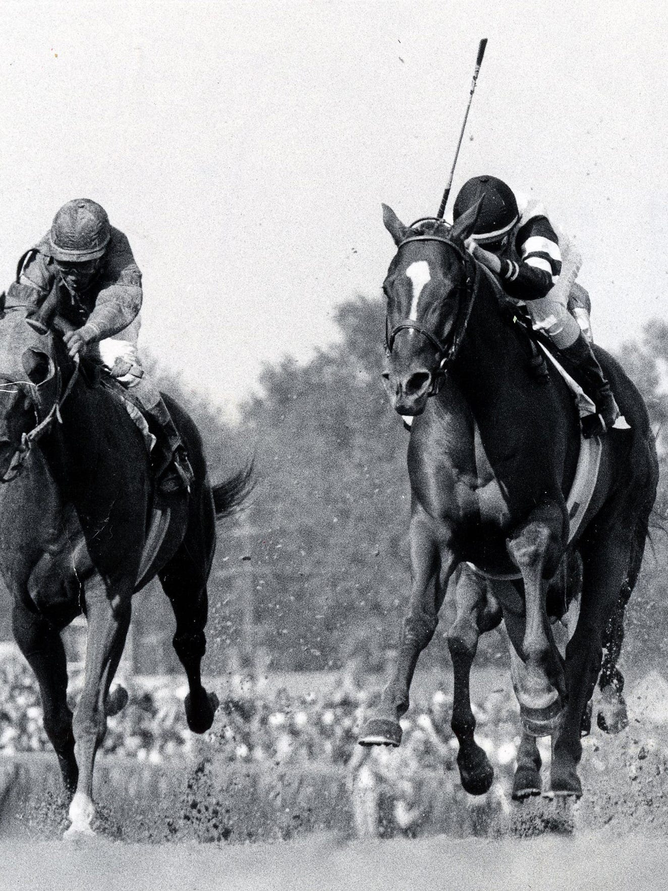 Affirmed, right, with 18-year-old Steve Cauthen aboard, thunders across the finish line to win the 104th running of the Kentucky Derby on May 6, 1978.