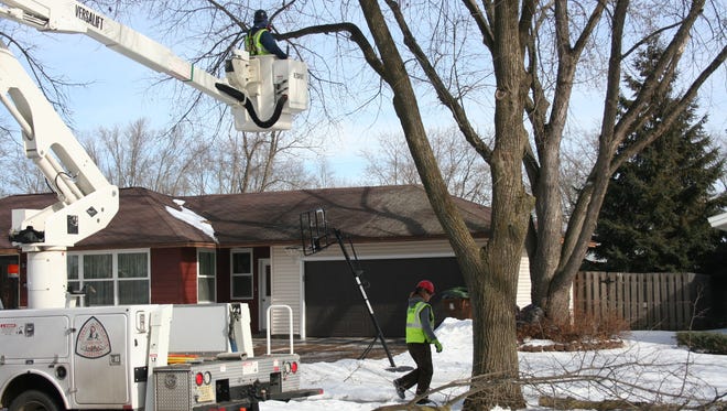 Stevens Point forestry workers prune trees in the city in February 2018.