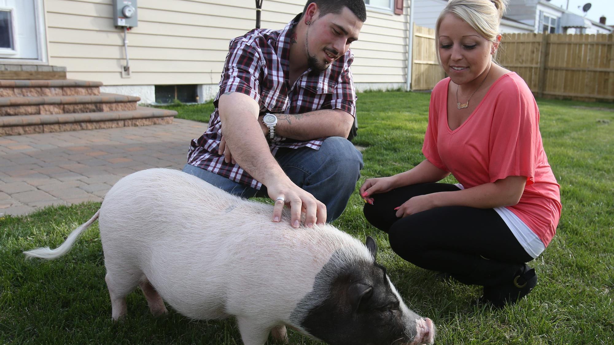 Byproduct Of Kissing A Pet Crossword Pet Friendly