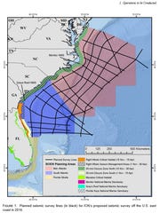 Five companies want to survey the Atlantic Ocean for oil and gas, using powerful air guns.