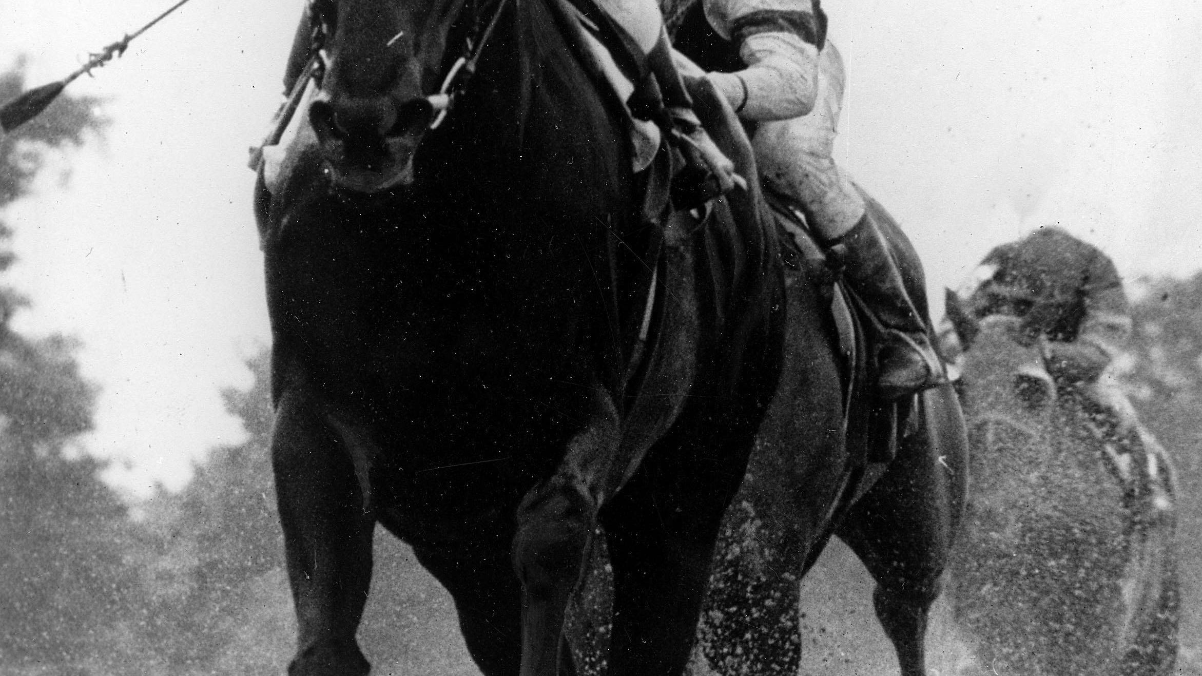 The Eighth Pole: Ruffian's unrelenting spirit lives on beyond tragedy