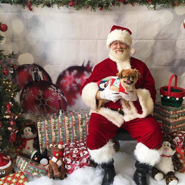Santa at petsmart 2018 2025