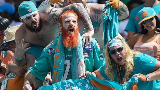 The Dolphins hope scenes like this are possible this fall.