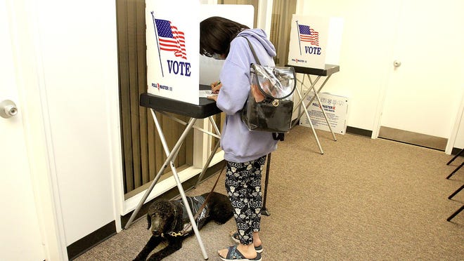 Sue Cook exercises her right to vote as her service dog, Jodie patiently waits during the first day of early voting on Thursday, Sept. 24, 2020, at the Stewart Centre in Freeport.