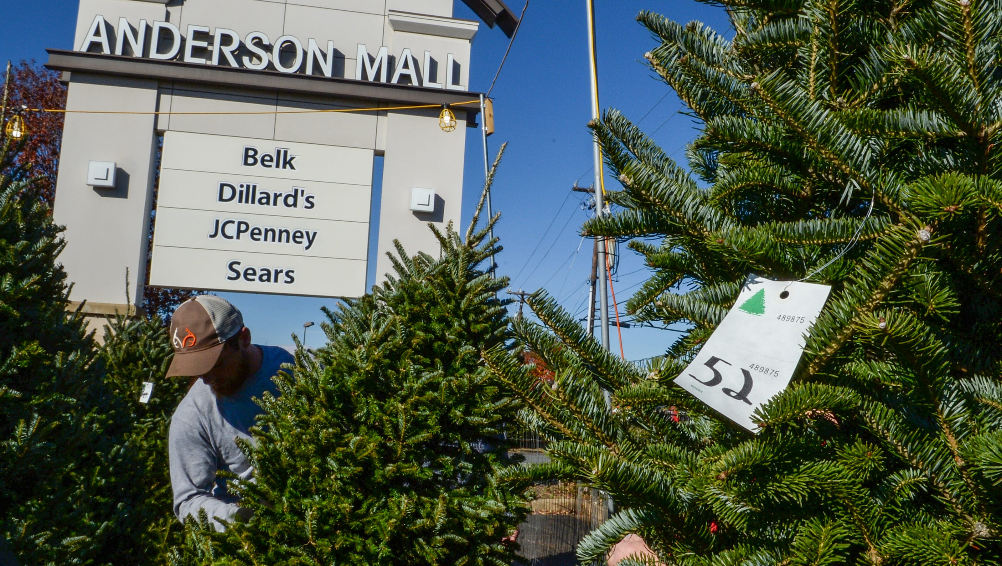 Why Is There A Shortage Of Christmas Trees In The Upstate This Year