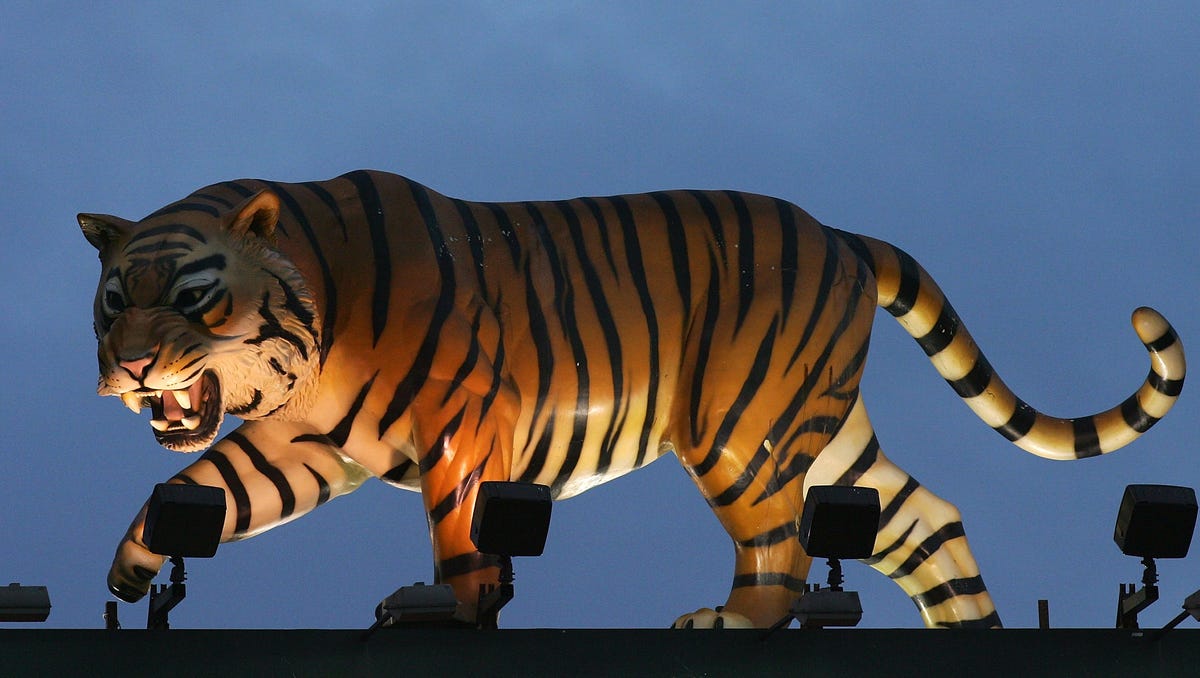 Evolution of the Tigers since 2006 rebirth