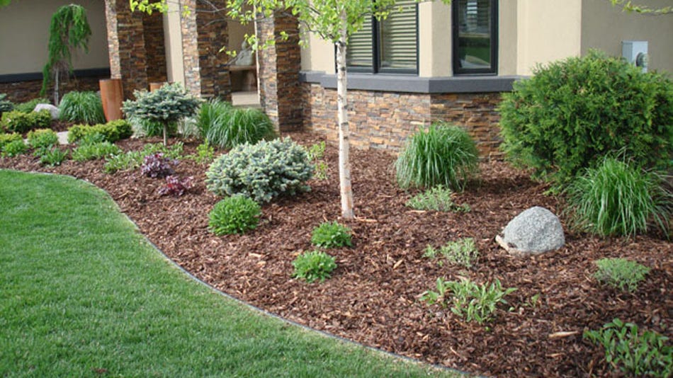 pine bark mulch pine bark mulch