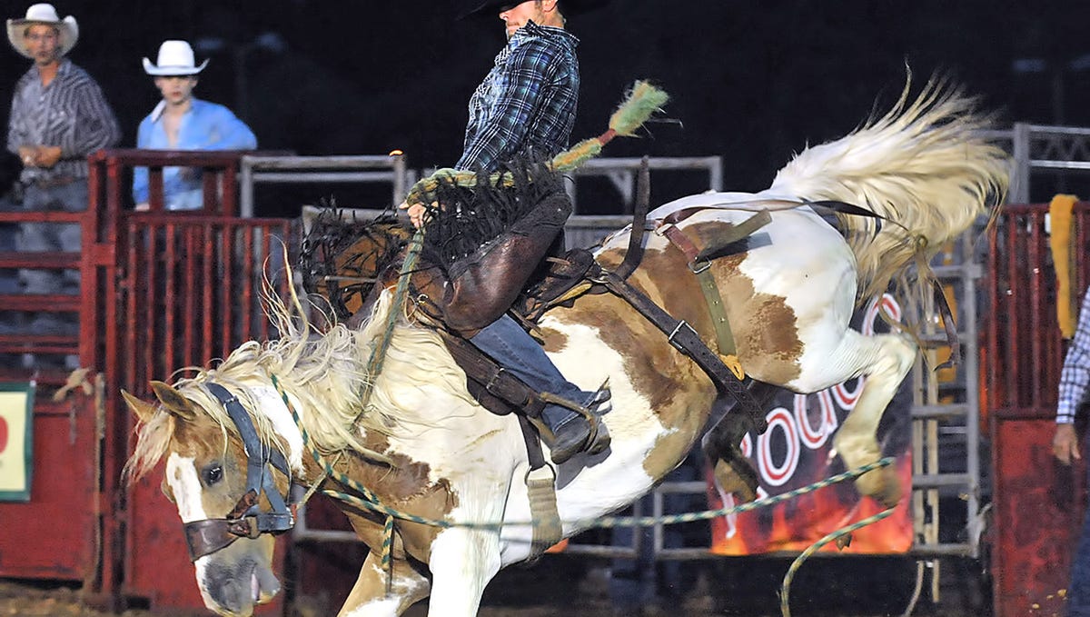 SPORTS PHOTOS Dickson Stampede Days Rodeo