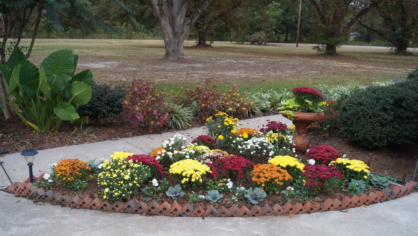 7 Easy Steps To Create A Beautiful Flower Bed Easy Steps To Create A Beautiful Flower Bed, How To Make A Fall Flower Garden