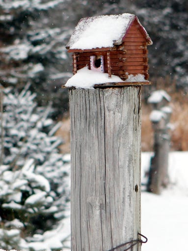 A snow-covered log cabin waits for birds to visit in